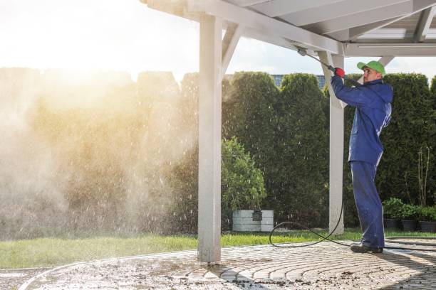 Best Paint Preparation  in Midway South, TX